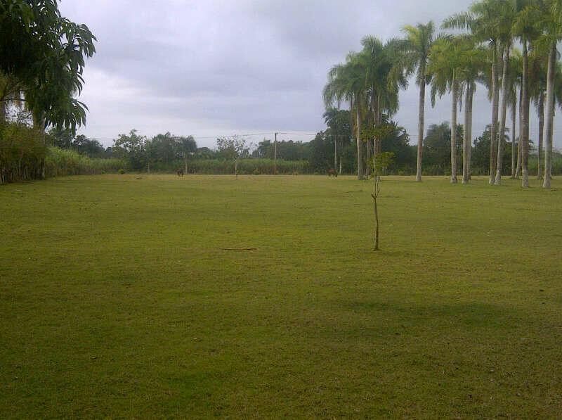 Amplia finca de 1,470 Tareas en el Municipio de Guerra.