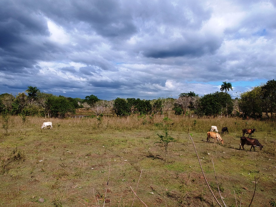 FINCA DE 20 TAREAS EN VENTA EN MATA VACA DE GUERRA