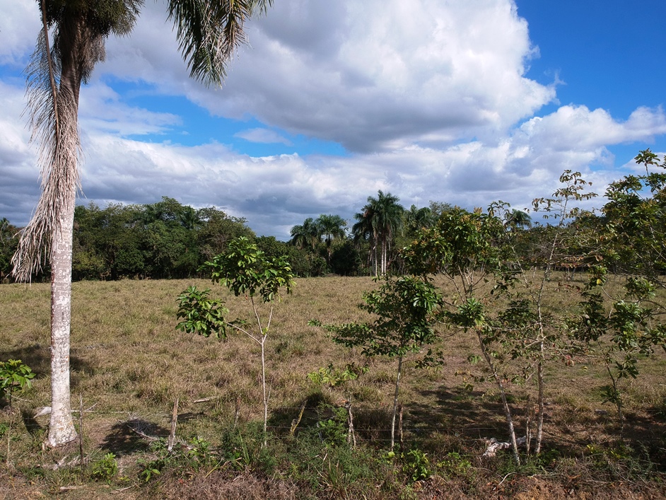 AMPLIA FINCA EN VENTA EN MATA VACA- GUERRA.