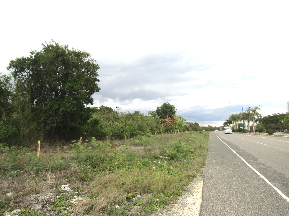 AMPLIO TERRENO DE 387,000 METROS EN LA CARRETERA DEL BOULEVARD DE JUAN DOLIO